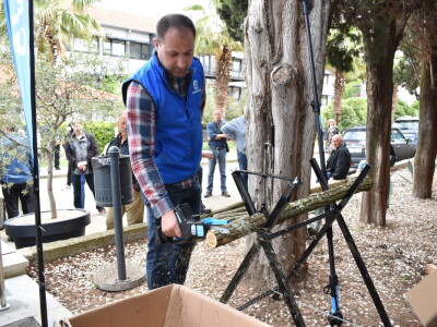 Noćnjak 2022 ENTRADA