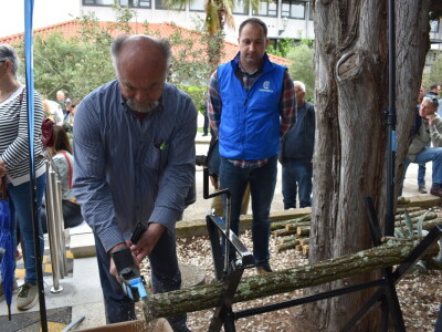 Noćnjak 2022 ENTRADA