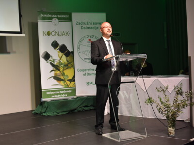 Noćnjak 2022 - Najbolje pakovine maslinovih ulja