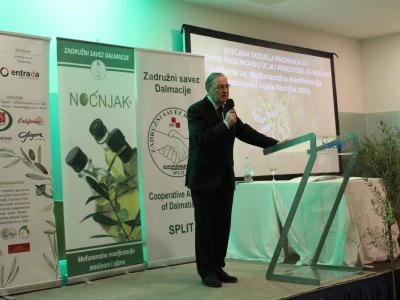 Noćnjak 2023. - Najbolji maslinari u kategoriji pakovina