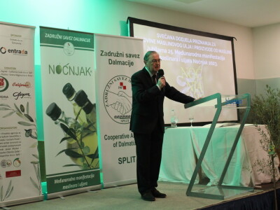 Noćnjak 2023. - Najbolji maslinari u kategoriji pakovina