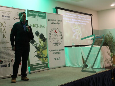 Noćnjak 2023. - Najbolji maslinari u kategoriji pakovina