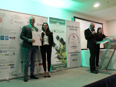 Noćnjak 2023. - Najbolji maslinari u kategoriji pakovina