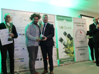 Noćnjak 2023. - Najbolji maslinari u kategoriji pakovina