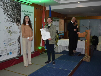 Noćnjak 2024. - Najbolji maslinari u kategoriji pakovina