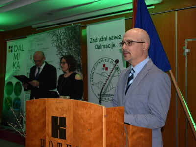 Noćnjak 2024. - Najbolji maslinari u kategoriji pakovina