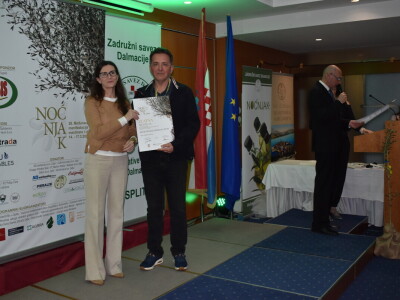 Noćnjak 2024. - Najbolji maslinari u kategoriji pakovina