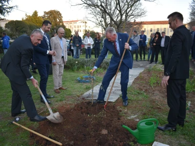 Noćnjak 2024. - sadnja masline