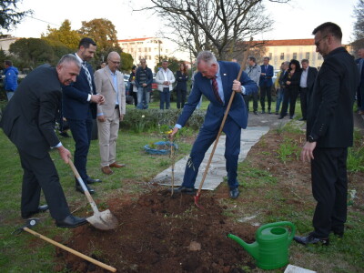 Noćnjak 2024. - sadnja masline
