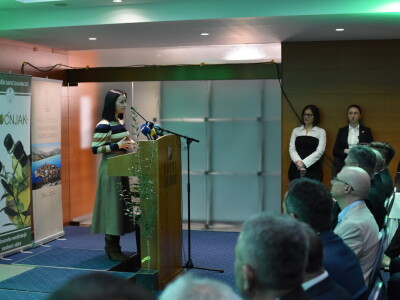 Noćnjak 2024. - sadnja masline