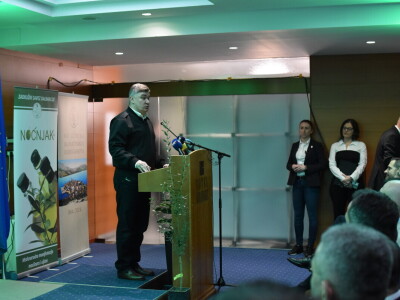 Noćnjak 2024. - sadnja masline