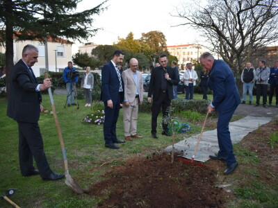 Noćnjak 2024. - sadnja masline