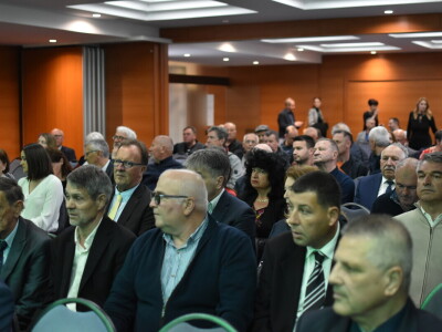 Noćnjak 2024. - sadnja masline