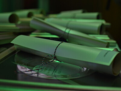 Noćnjak 2024. - sadnja masline