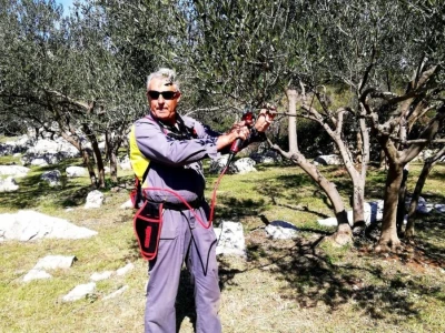 NOĆNJAK 209 - Maslinar iz Draga: Poslao ženu Sandru Barešić  po zlatnu medalju!
