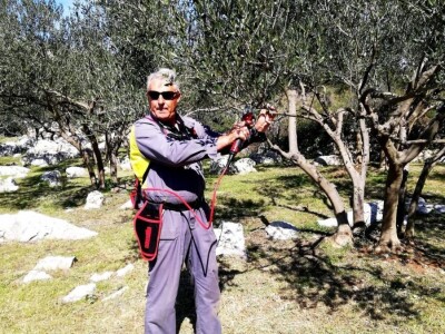 NOĆNJAK 209 - Maslinar iz Draga: Poslao ženu Sandru Barešić  po zlatnu medalju!