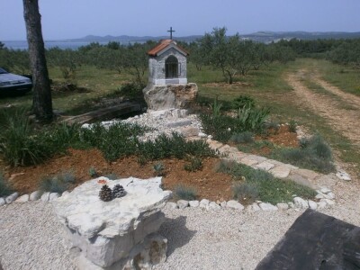 NOĆNJAK 209 - Maslinar iz Draga: Poslao ženu Sandru Barešić  po zlatnu medalju!