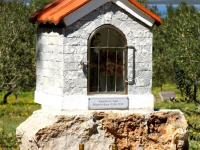 NOĆNJAK 209 - Maslinar iz Draga: Poslao ženu Sandru Barešić  po zlatnu medalju!