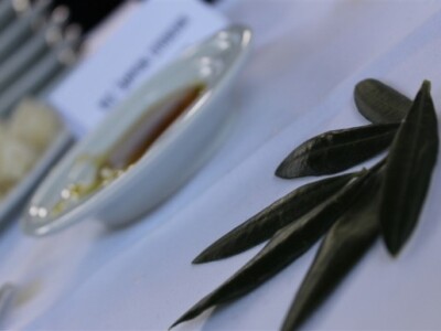 Pristiglo 120 uzoraka ulja