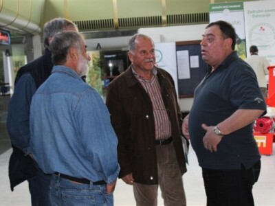 Otvoren 17. Noćnjak!