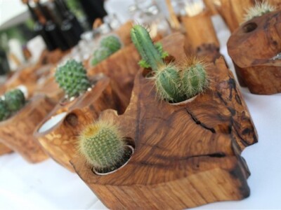 Otvoren 17. Noćnjak!