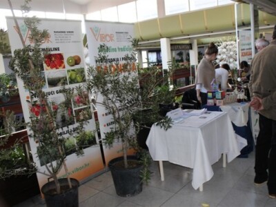 Otvoren 17. Noćnjak!