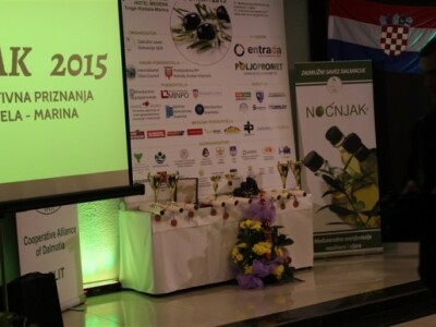 Otvoren 17. Noćnjak!