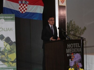 Otvoren 17. Noćnjak!