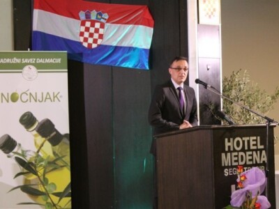 Otvoren 17. Noćnjak!