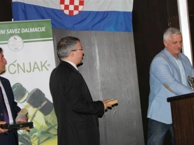 Otvoren 17. Noćnjak!