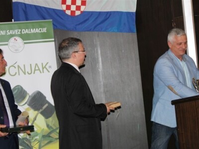 Otvoren 17. Noćnjak!