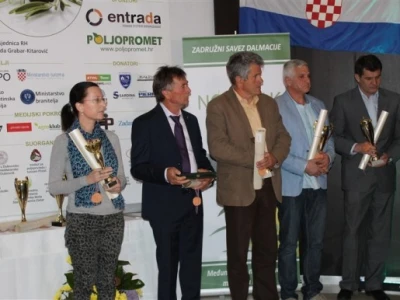 Otvoren 17. Noćnjak!