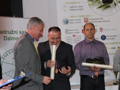 Otvoren 17. Noćnjak!