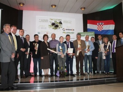 Otvoren 17. Noćnjak!