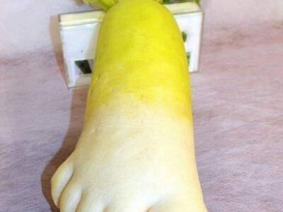 Bijela repa dobila nogu