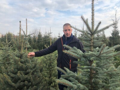 Nordijske jele Maria Beraneka