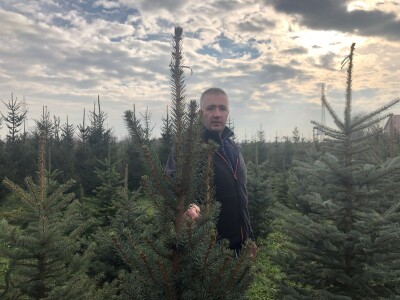 Nordijske jele Maria Beraneka