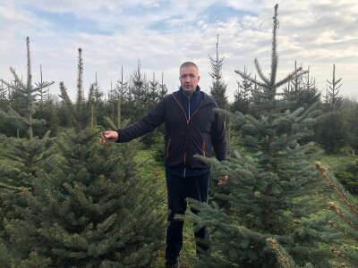 Nordijske jele Maria Beraneka