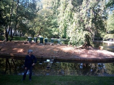 Norveški sistem pčelarenja