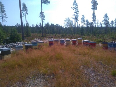 Norveški sistem pčelarenja