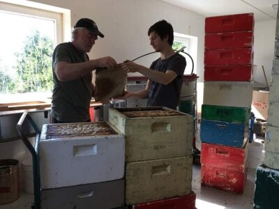 Norveški sistem pčelarenja