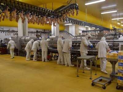 Lideri francuske proizvodnje premium piletine