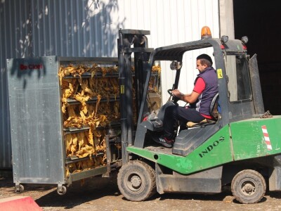 Nova sezona prouzvodnje duhana