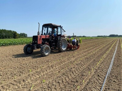 Nova sezona prouzvodnje duhana