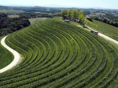 Nova vinska avantura po vinarijama uz koju ćete zapjevati i međumurske popevke!