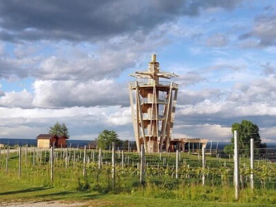 Nova vinska avantura po vinarijama uz koju ćete zapjevati i međumurske popevke!