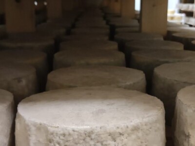 Nove vrste sira iz sirane u Čaporicama