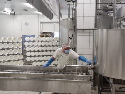 Nove vrste sira iz sirane u Čaporicama