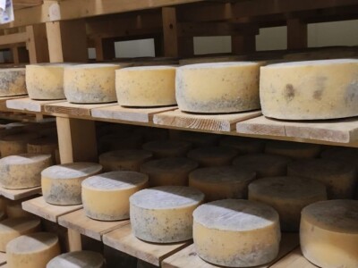 Nove vrste sira iz sirane u Čaporicama