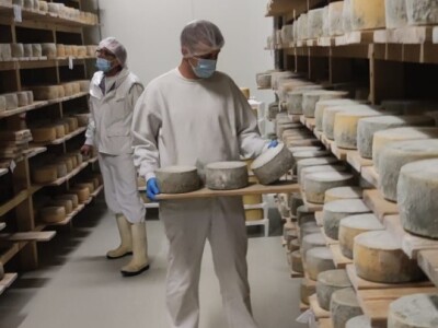 Nove vrste sira iz sirane u Čaporicama